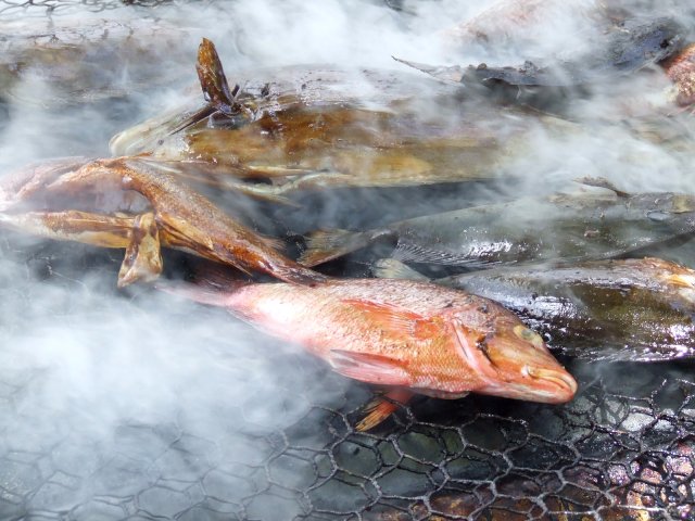 77- Les poissons grillent 